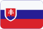 Prowadzenie księgowości w Republice Czeskiej Slovensky